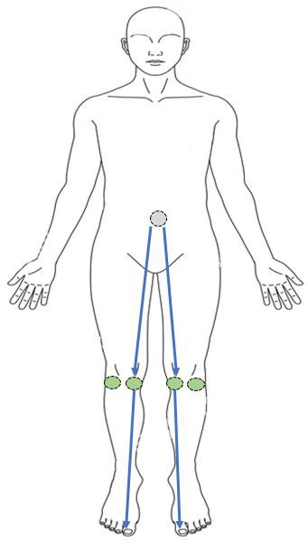 穴壓治療長新冠肺炎後遺症的原理4