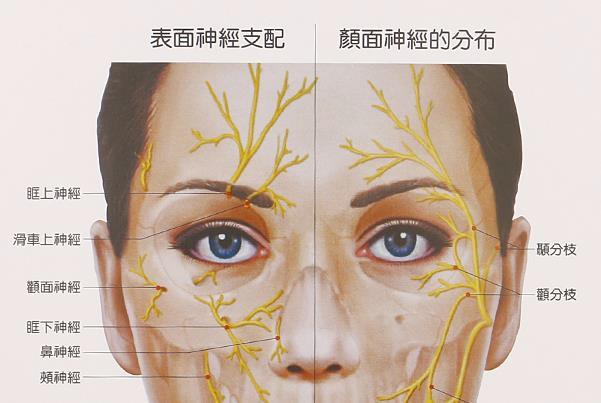 過度用眼引發頭痛3