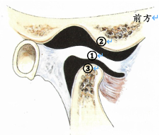 顳顎關節障礙症簡介02