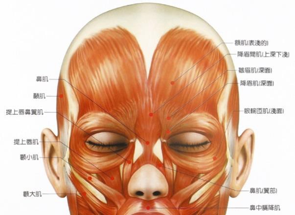 過度用眼引發頭痛4